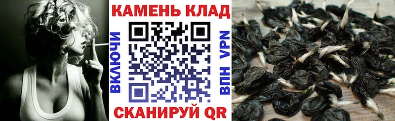 наркотики Мирный Гашиш Cannabis