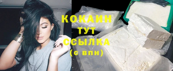 2c-b Богородицк