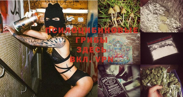 2c-b Богородицк