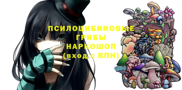 шишки Белоозёрский