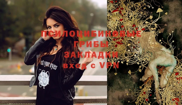первитин Богданович